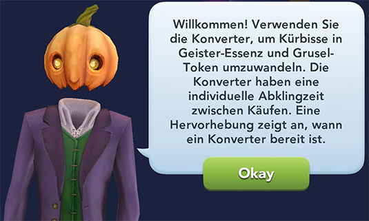 Kürbis Trieb 01